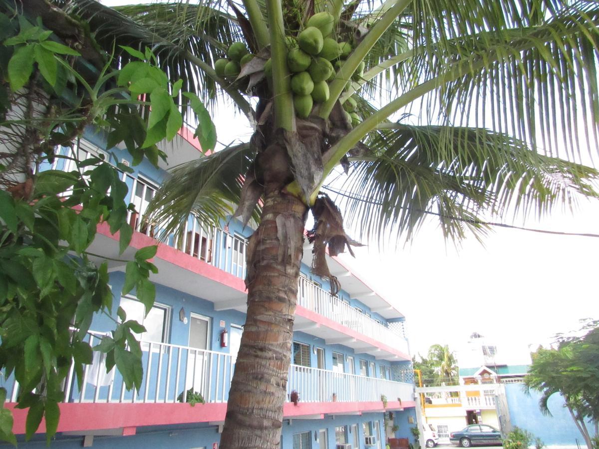 Blue Coconut Cancun Hotel Esterno foto