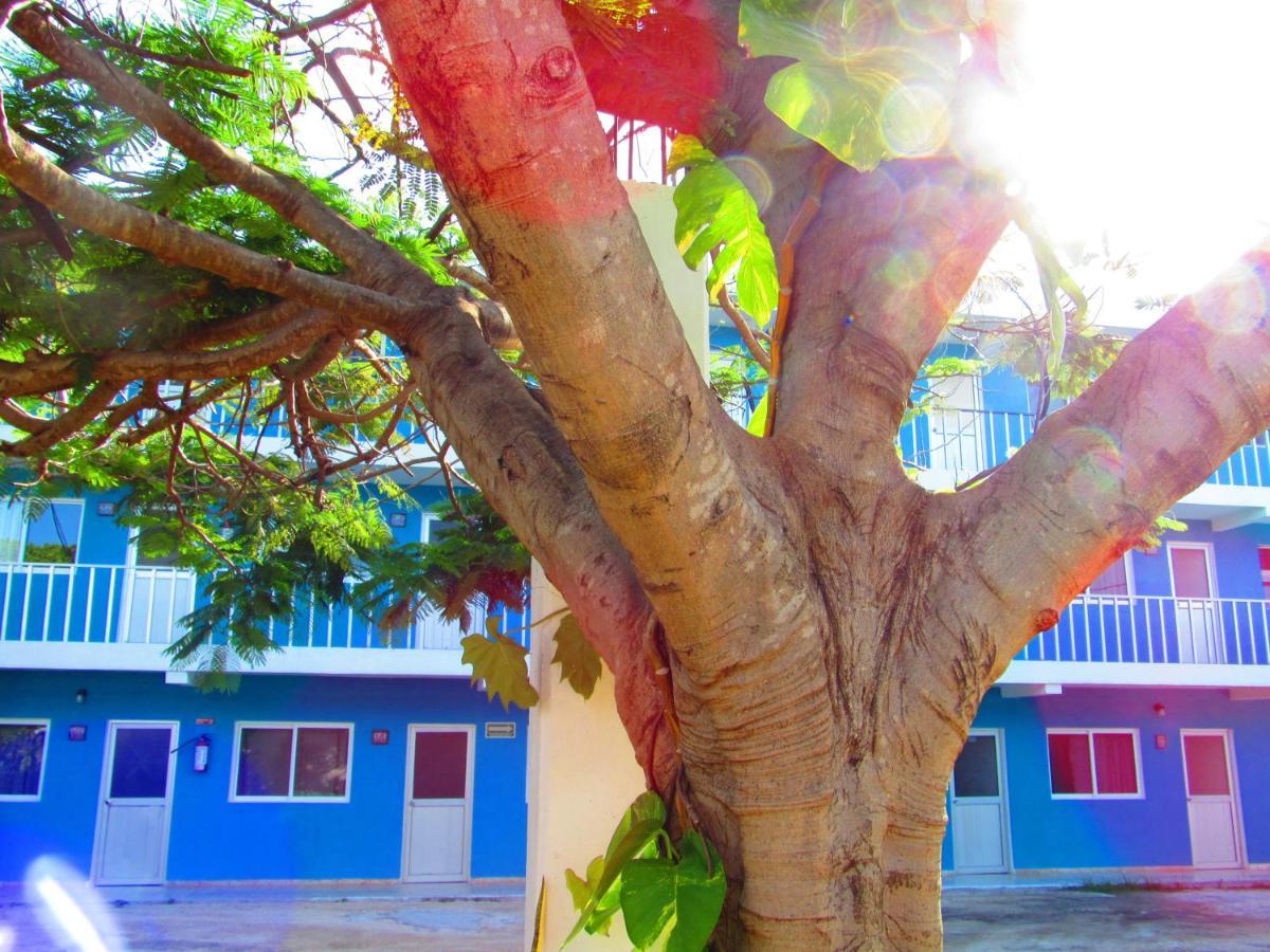 Blue Coconut Cancun Hotel Esterno foto